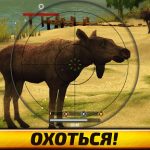 Взлом Wild Hunt:Sport Hunting Games МОД бесконечные патроны без перезарядки