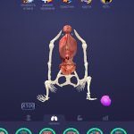 Взлом Idle Pet - Create cell by cell + МОД много денег