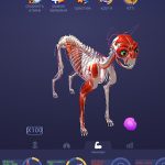 Взлом Idle Pet - Create cell by cell + МОД много денег